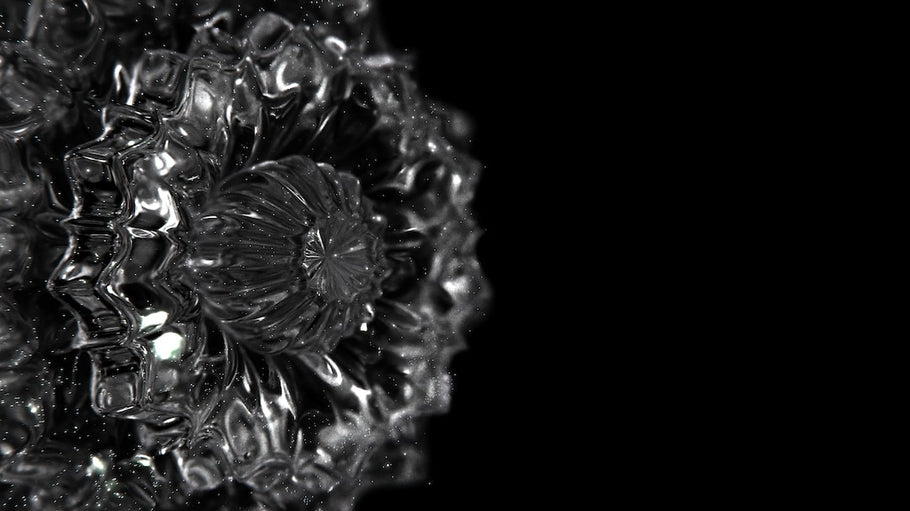 La Beauté des Bijoux Naturels : L'Élégance de la Nature